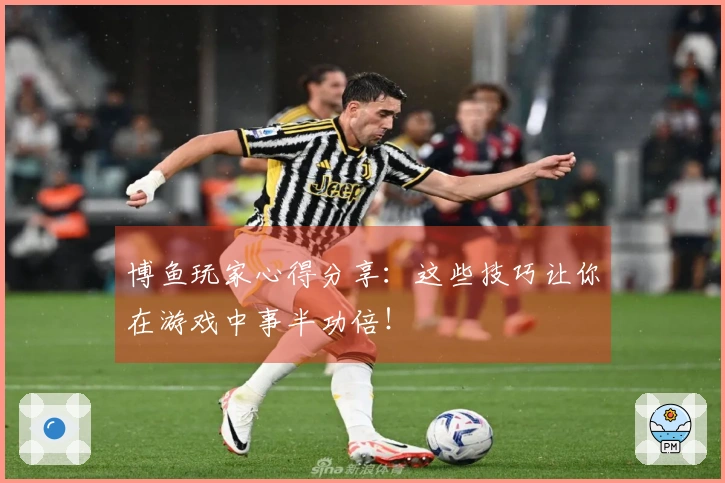 博鱼玩家心得分享：这些技巧让你在游戏中事半功倍！