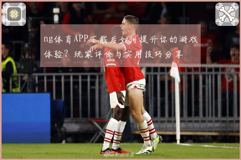 ng体育APP下载后如何提升你的游戏体验？玩家评价与实用技巧分享
