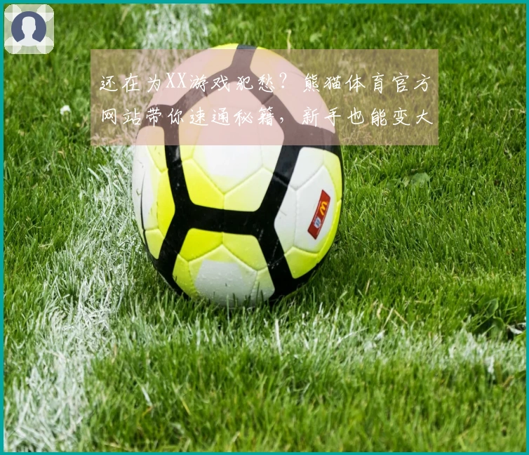 还在为XX游戏犯愁？熊猫体育官方网站带你速通秘籍，新手也能变大神